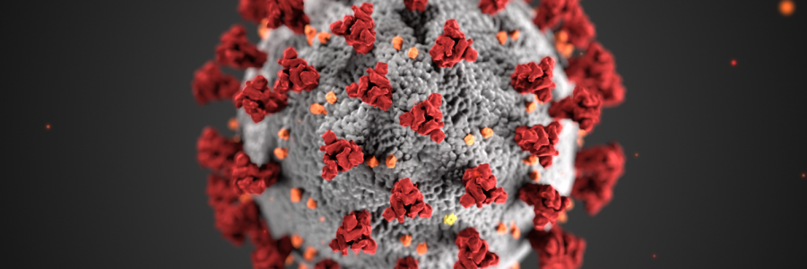 An example of a Corona virus cell.