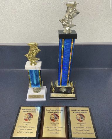 Congratulations to the McAuliffe Drama Team For Winning These Awesome Awards!