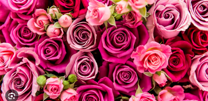 The History of Valentines Day